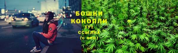 дурь Козельск