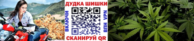 Бошки Шишки семена  Мелеуз 
